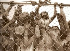 Fans - Rolling Stones Gig