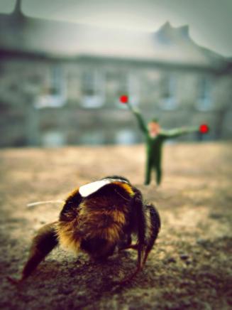 Cleared for take-off.